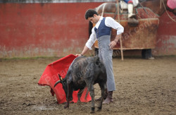 Pedrito de Portugal demonstrou que esta num bom momento no passado dia 27 na ganadaria de Ascensão Vaz.